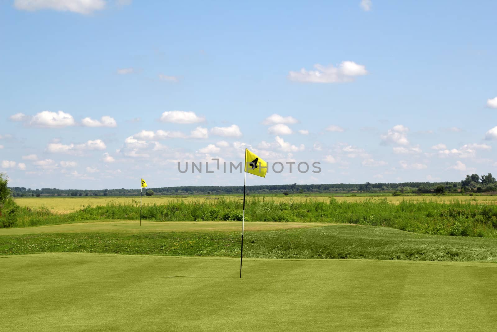 golf field with two yellow flags