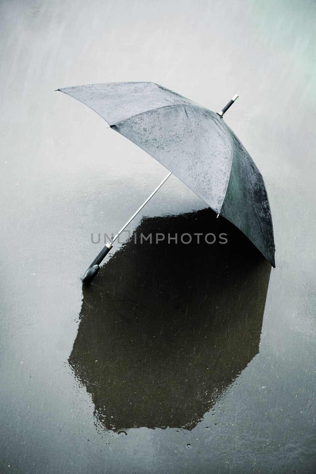 rain and wet umbrella by Kuzma