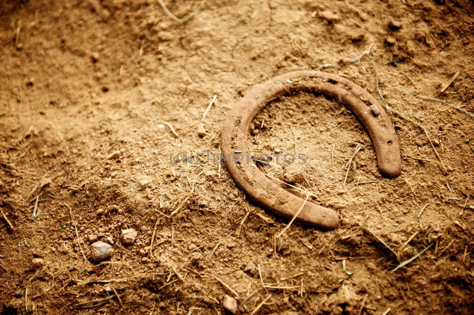 Rusty Old Horse Shoe Lying in Dirt by pixelsnap
