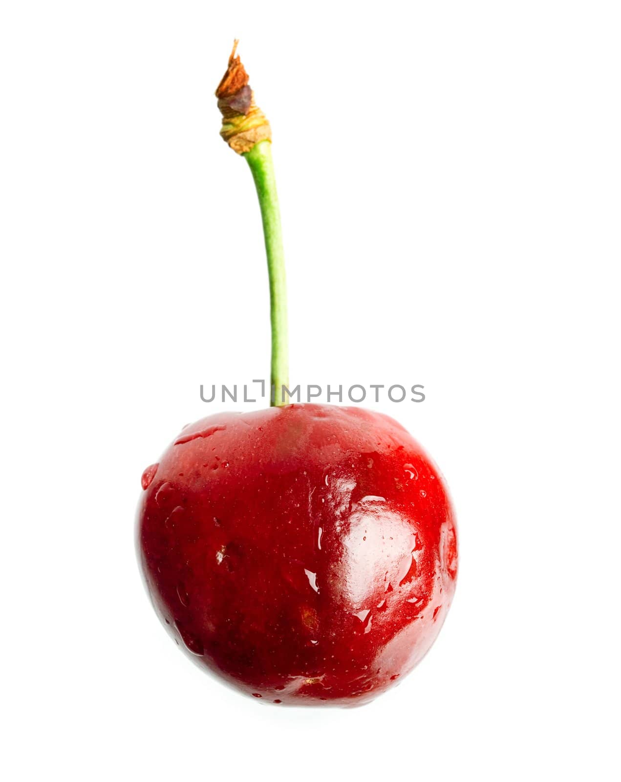 Cherry on white by velkol