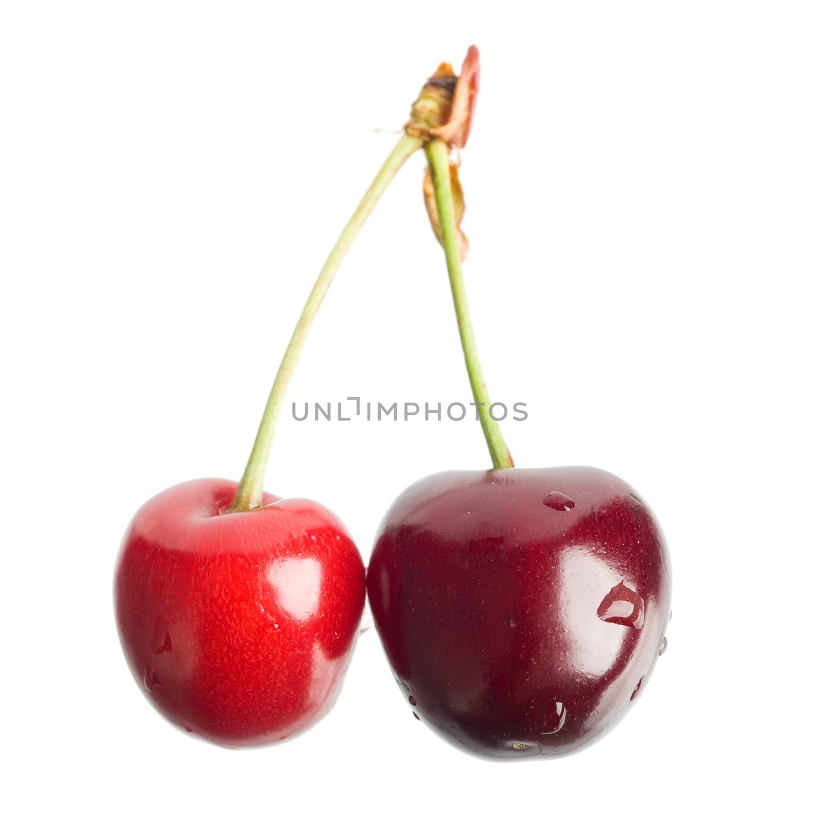 An image of two cherries isolated