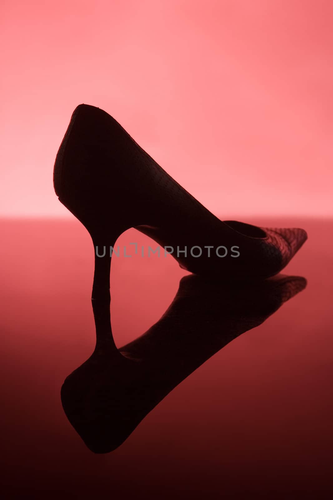 Female shoe on red background