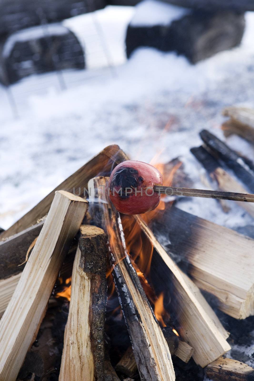 Campfire with selective focus in the winter