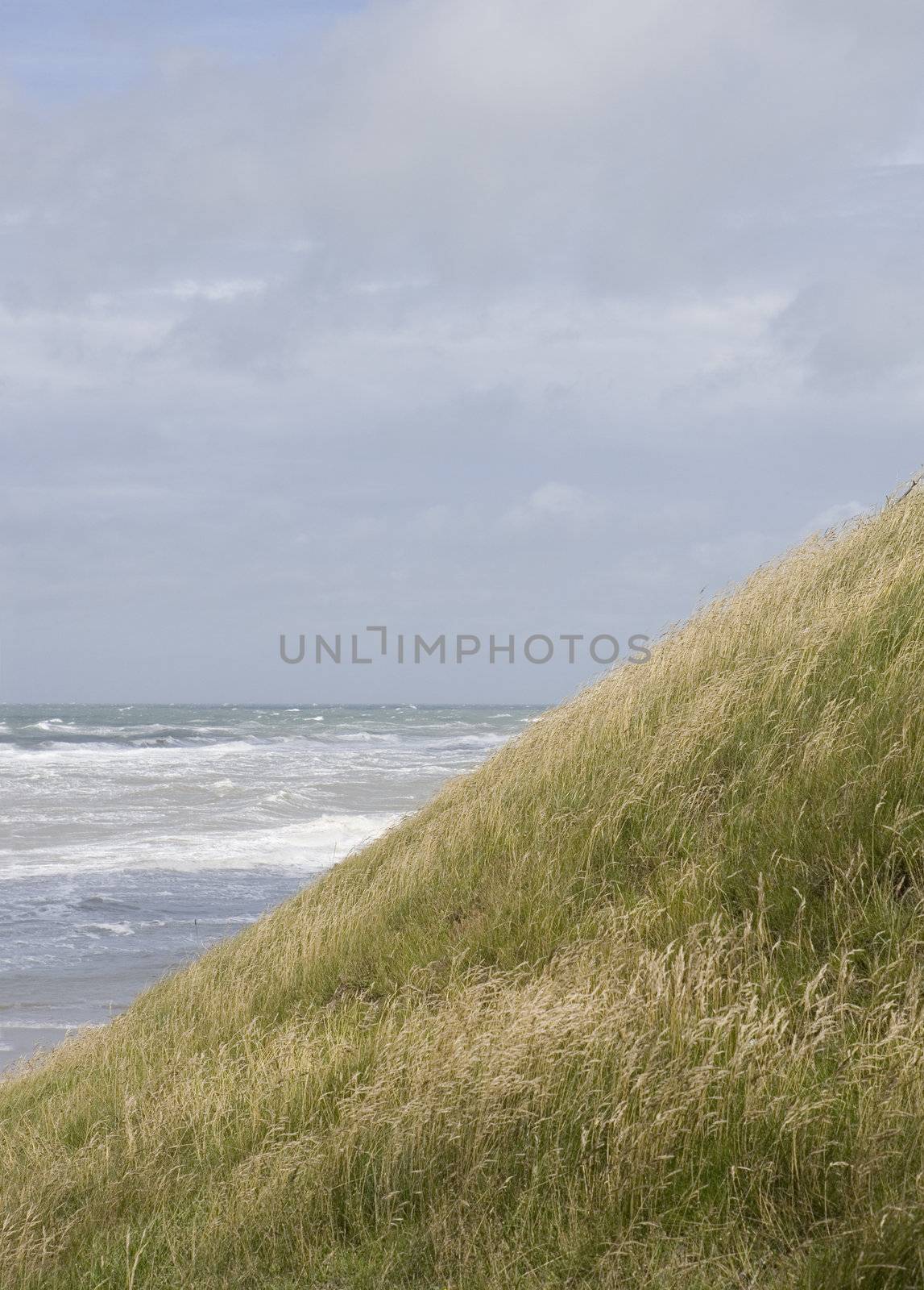 Coastline on a windy day