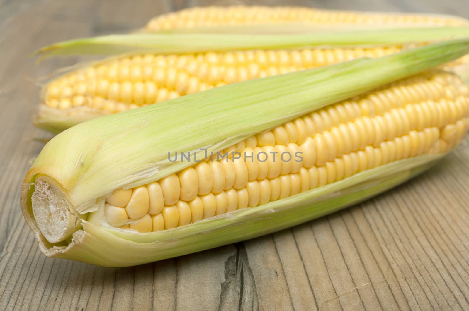 Closeup of Corn Cobs on Aged Wooden Table