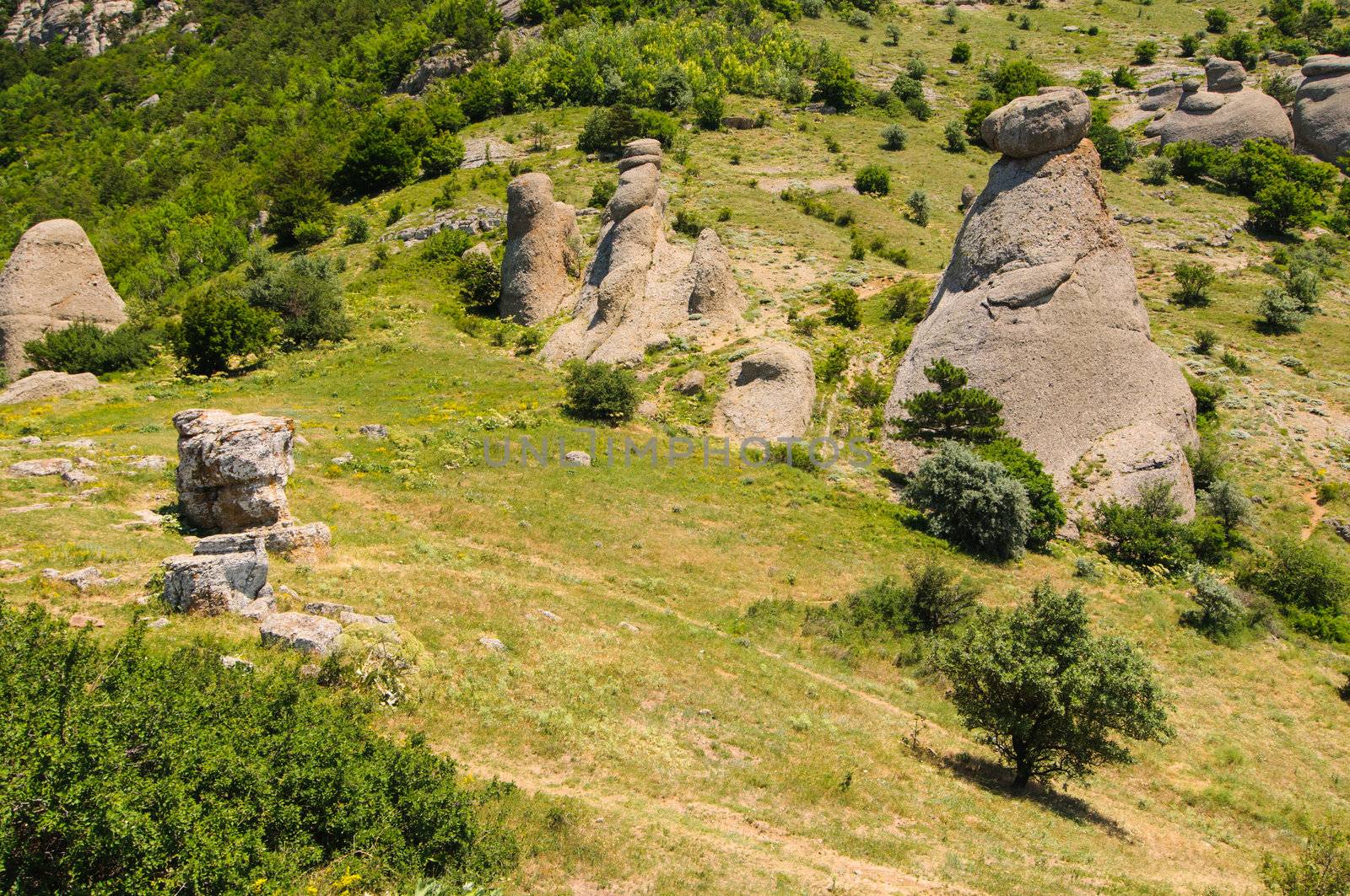 Sunny day on mountain plateau, Crimea, Ukraine