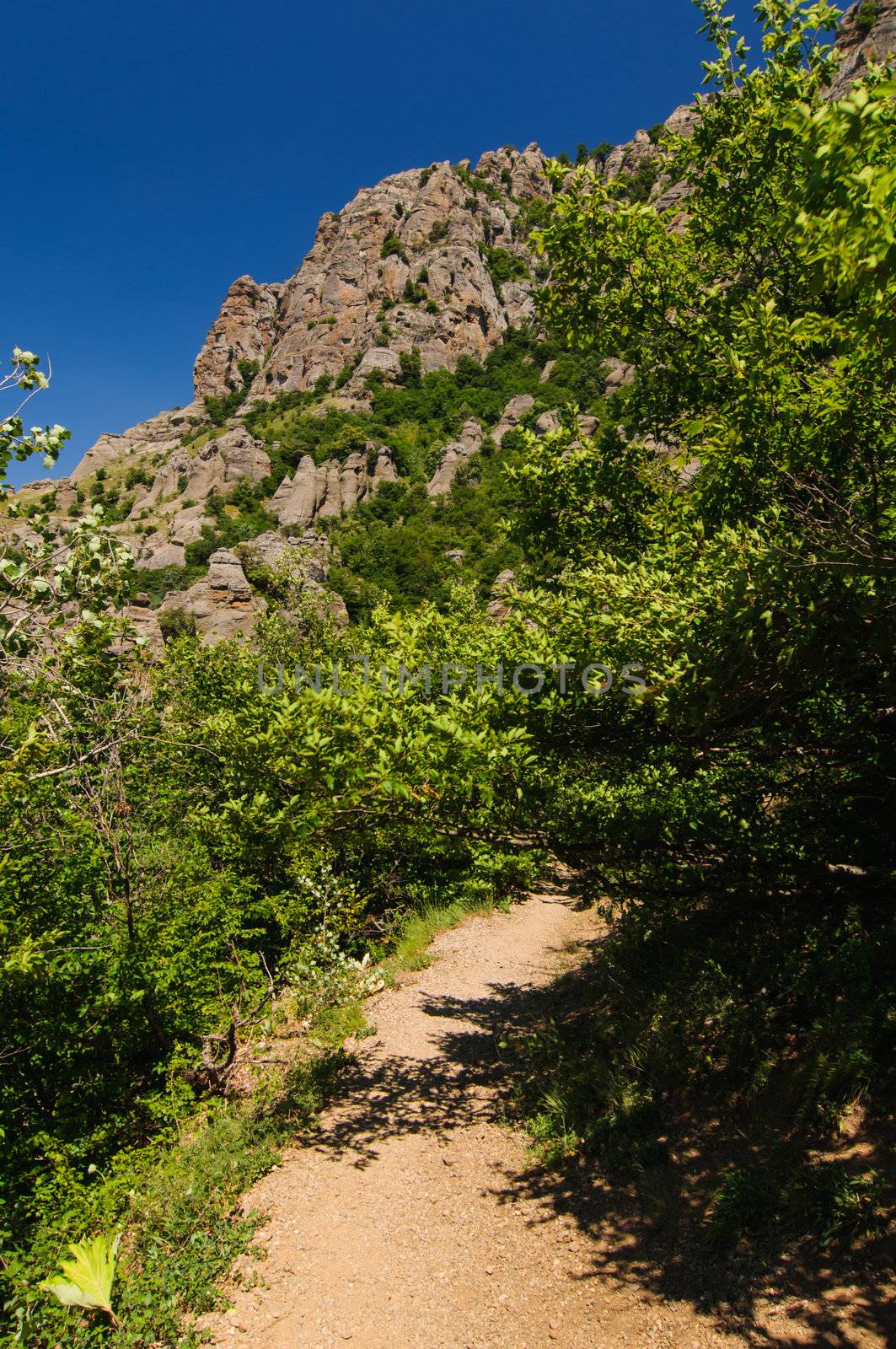 Mountain road, Crimea, Ukraine by nvelichko