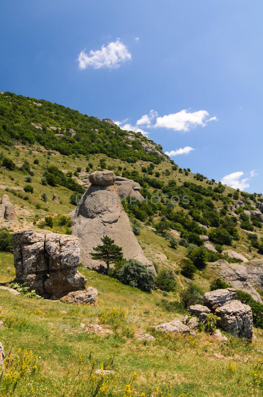 Sunny day on mountain plateau, Crimea, Ukraine