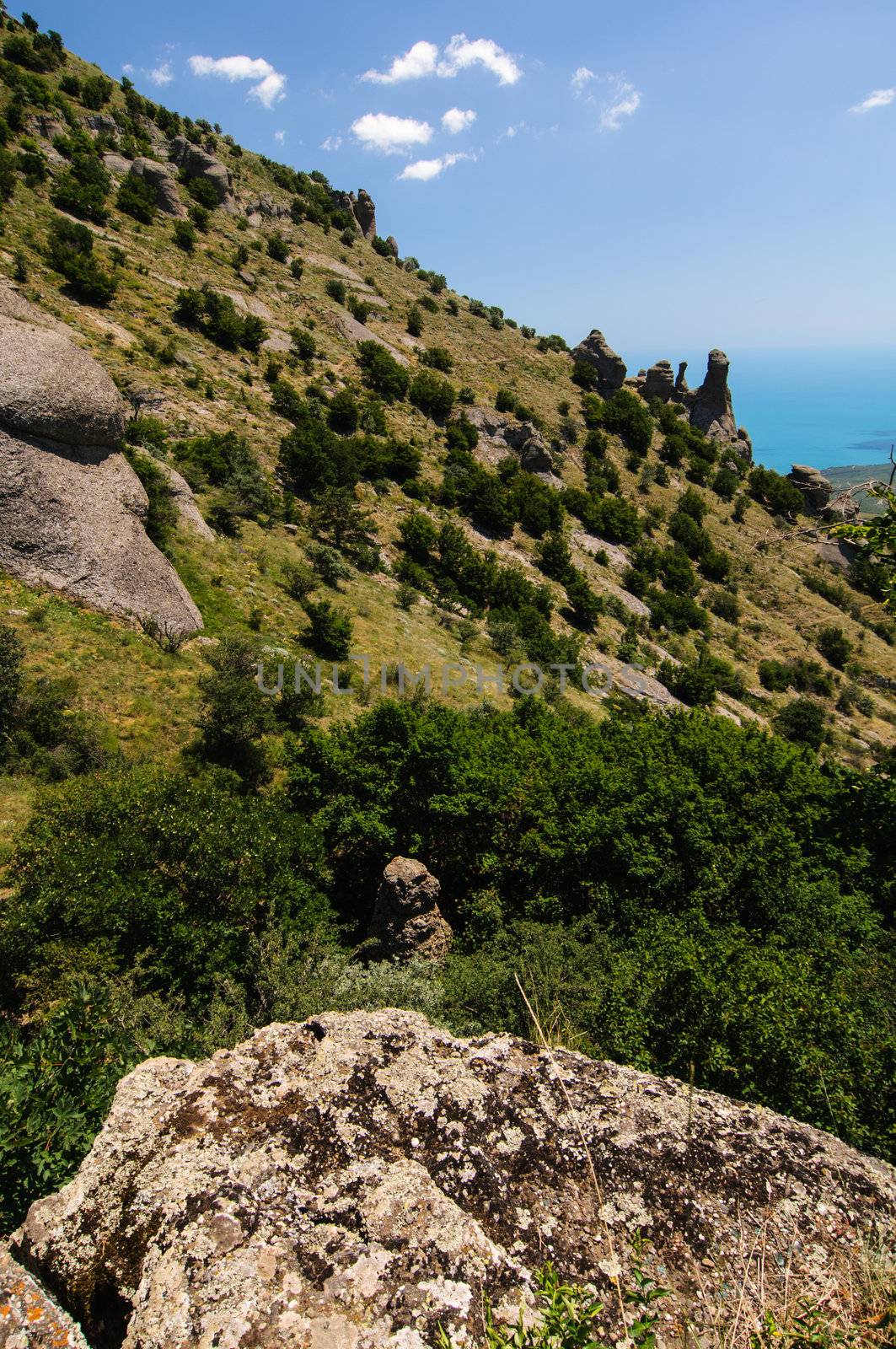 Hillside, Crimea, Ukraine by nvelichko