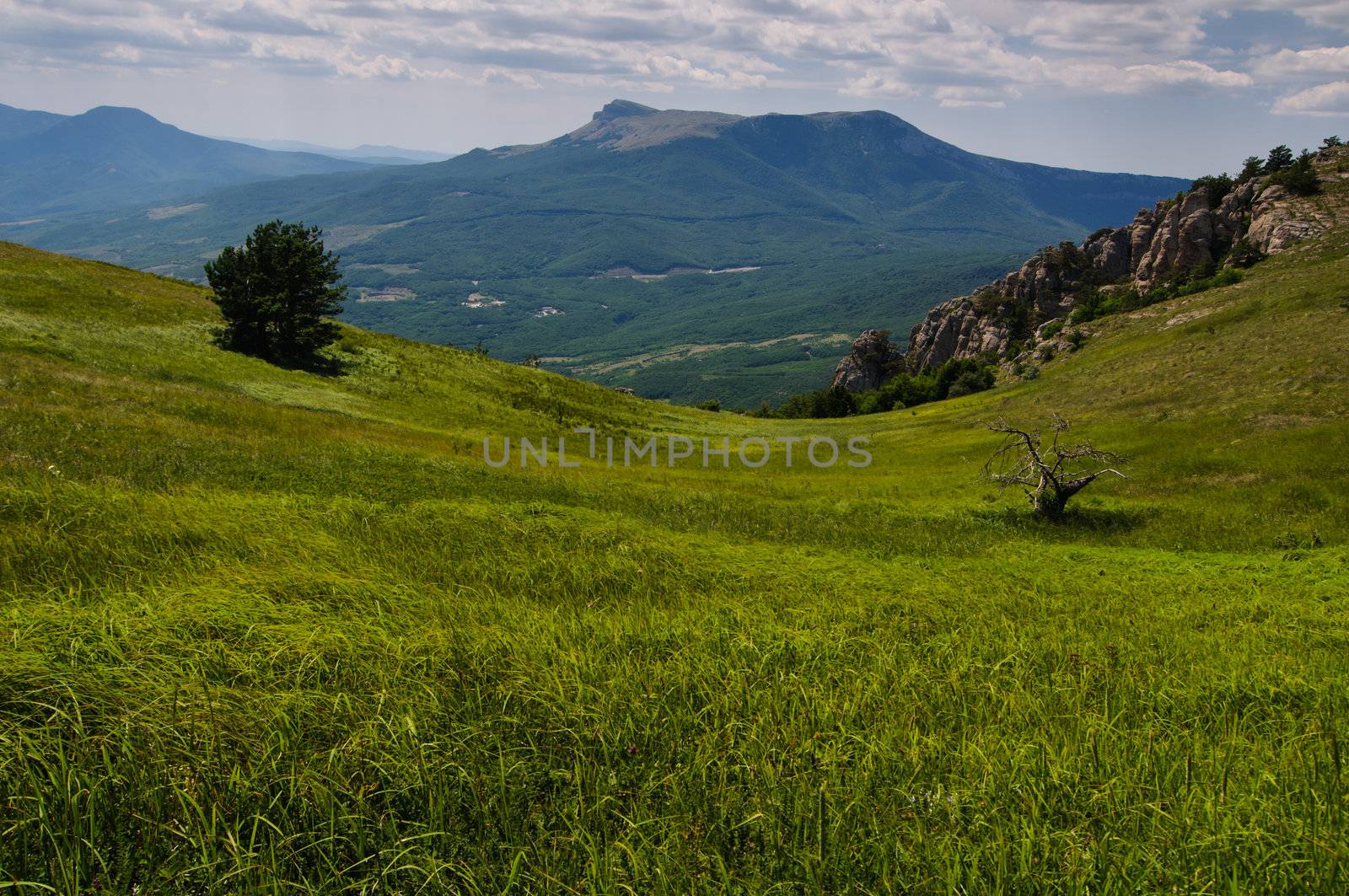 Sunny day on mountain plateau, Crimea, Ukraine