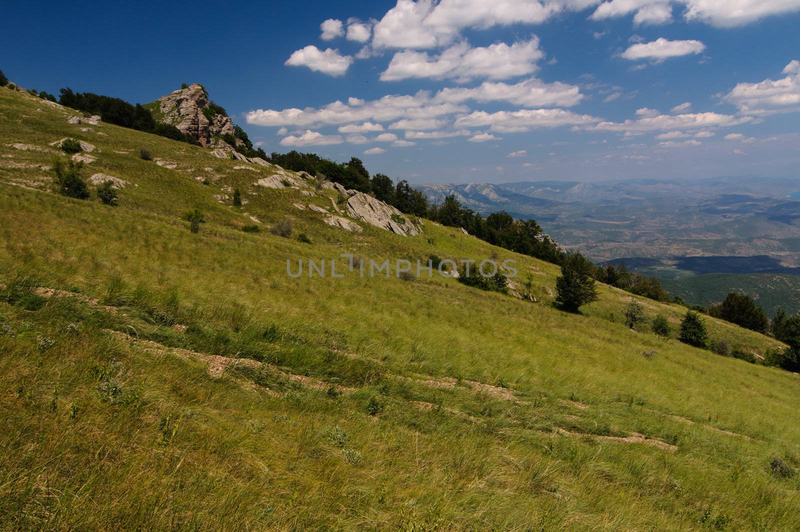 Sunny day on mountain plateau, Crimea, Ukraine