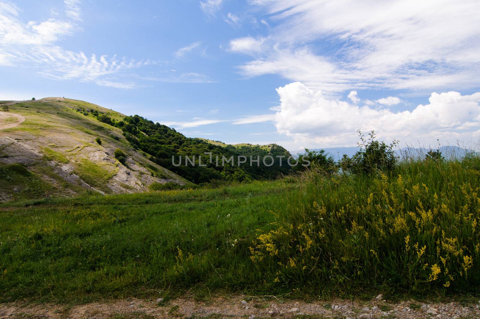 Sunny day on mountain plateau, Crimea, Ukraine