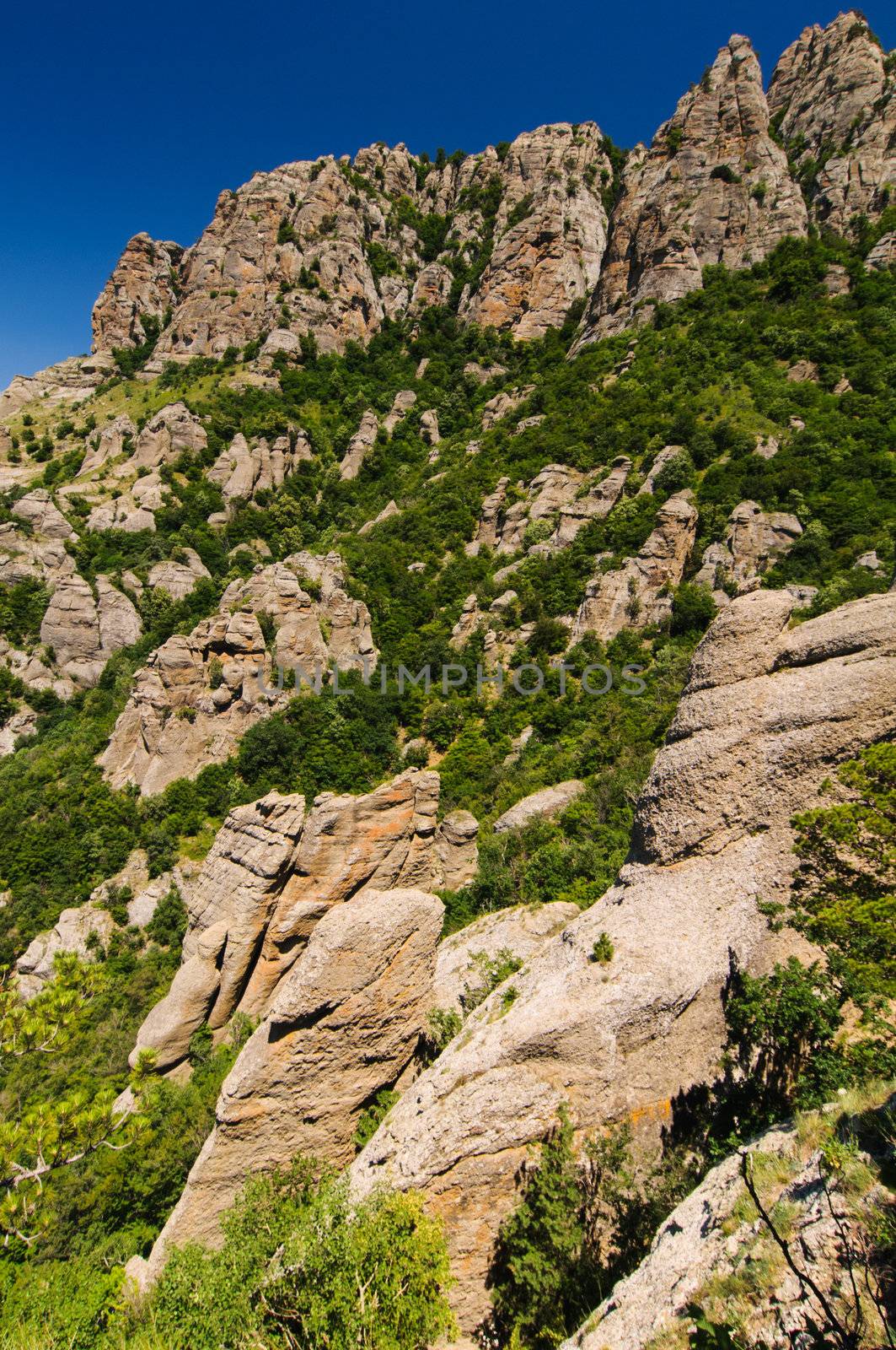 Sunny day on mountain plateau, Crimea, Ukraine