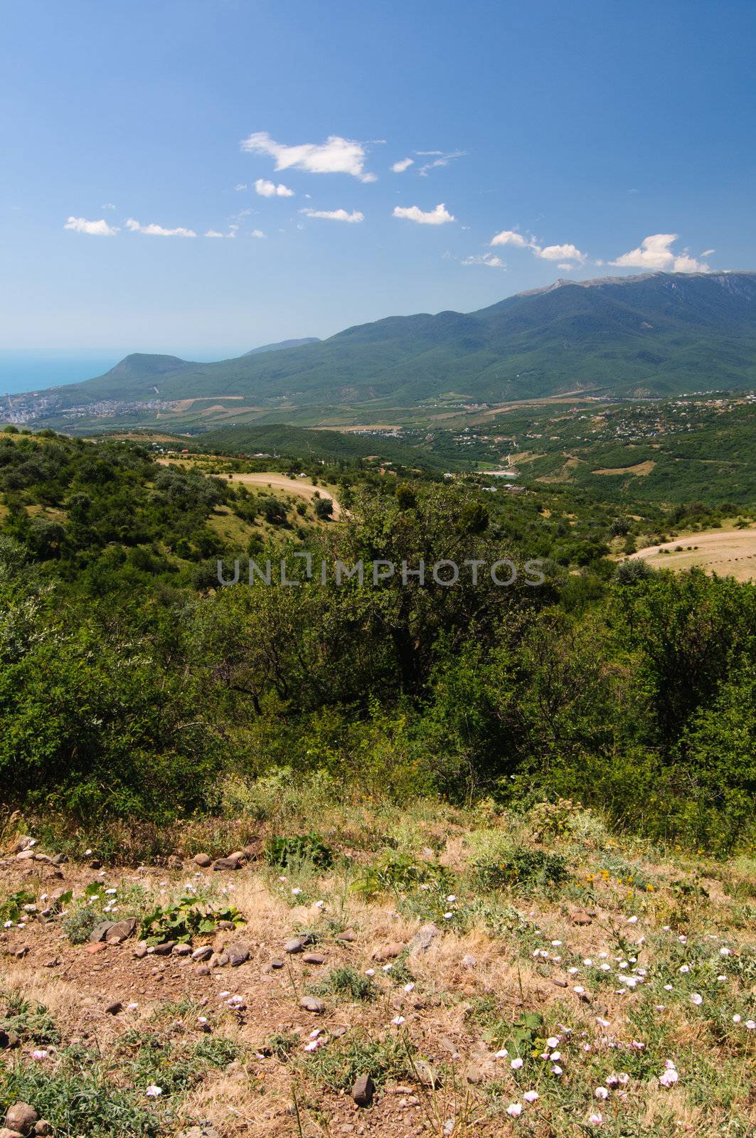 Mountain plateau, Crimea, Ukraine by nvelichko