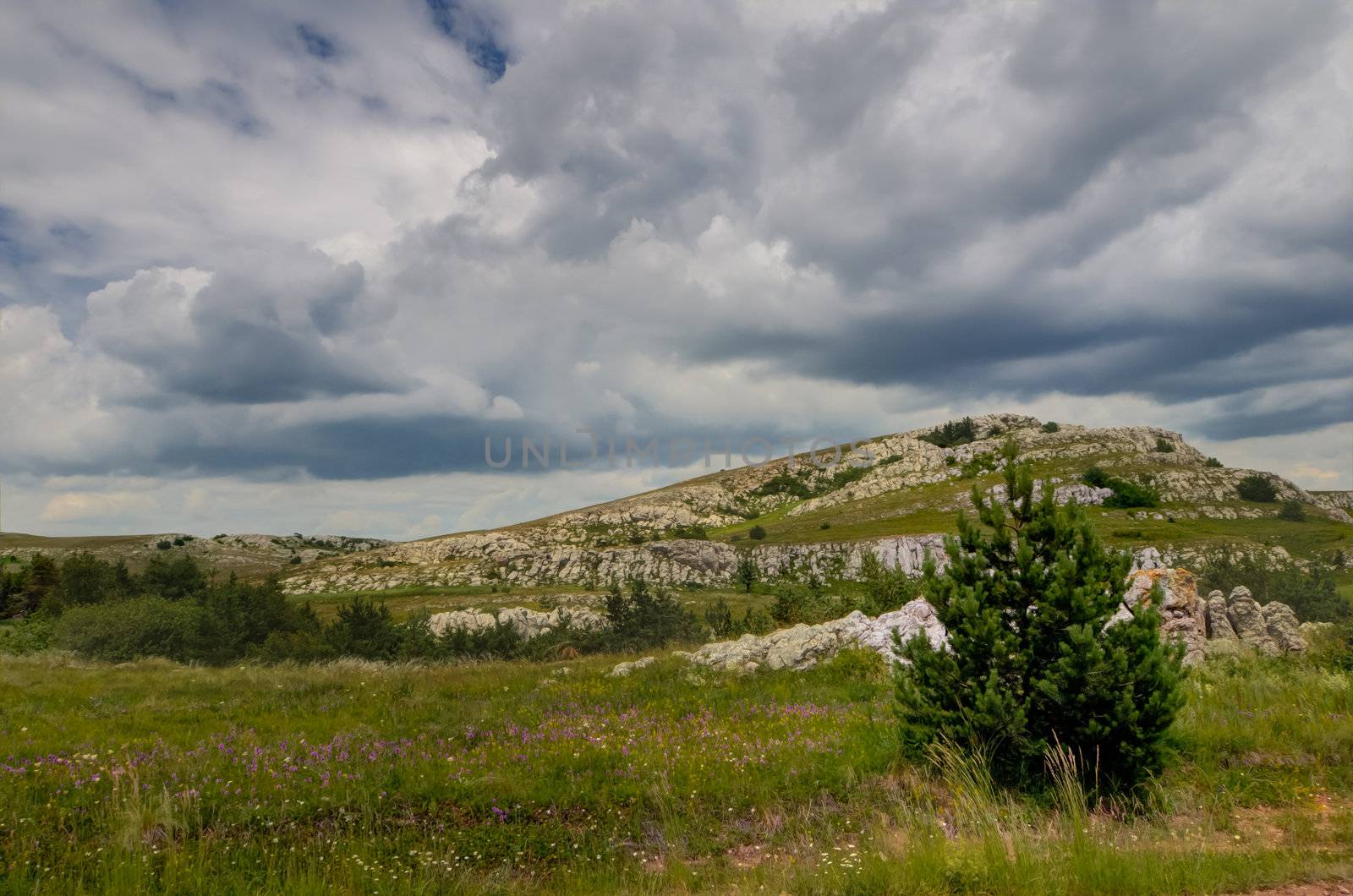 Sunny day on mountain plateau, Crimea, Ukraine