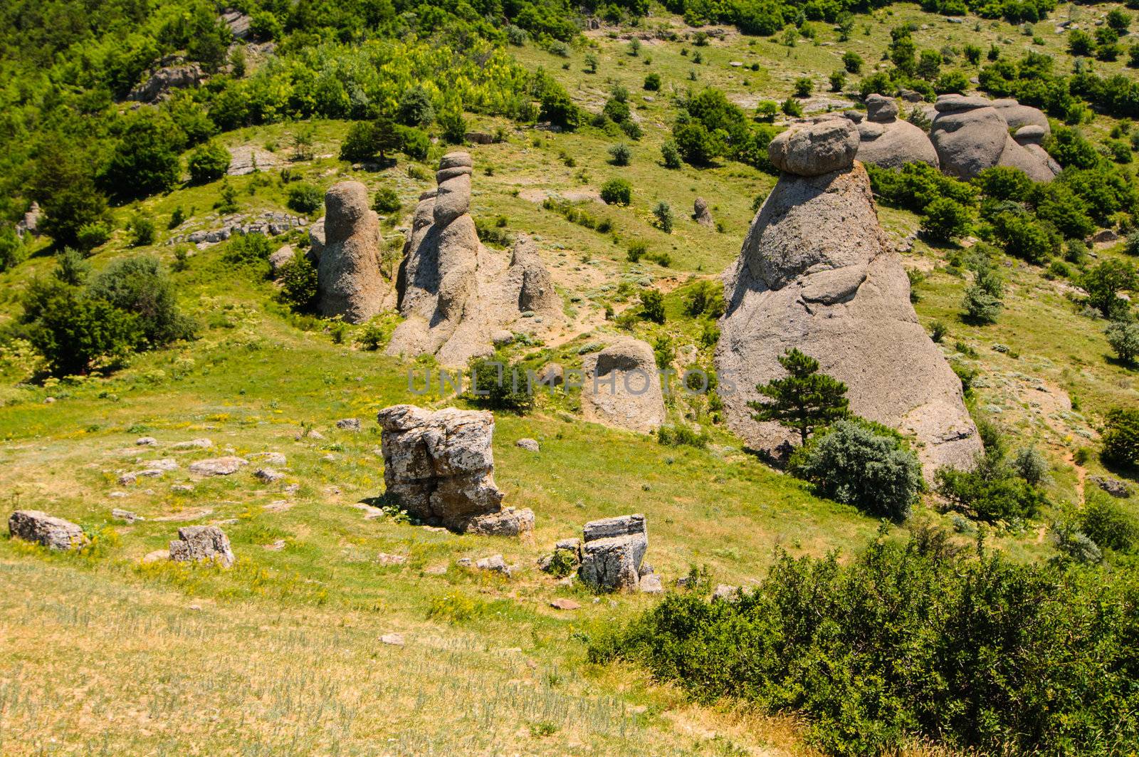 Sunny day on mountain plateau, Crimea, Ukraine