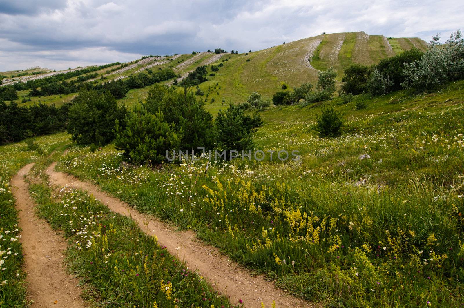 Sunny day on mountain plateau, Crimea, Ukraine