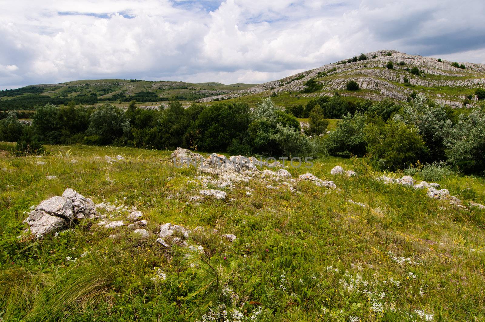 Sunny day on mountain plateau, Crimea, Ukraine