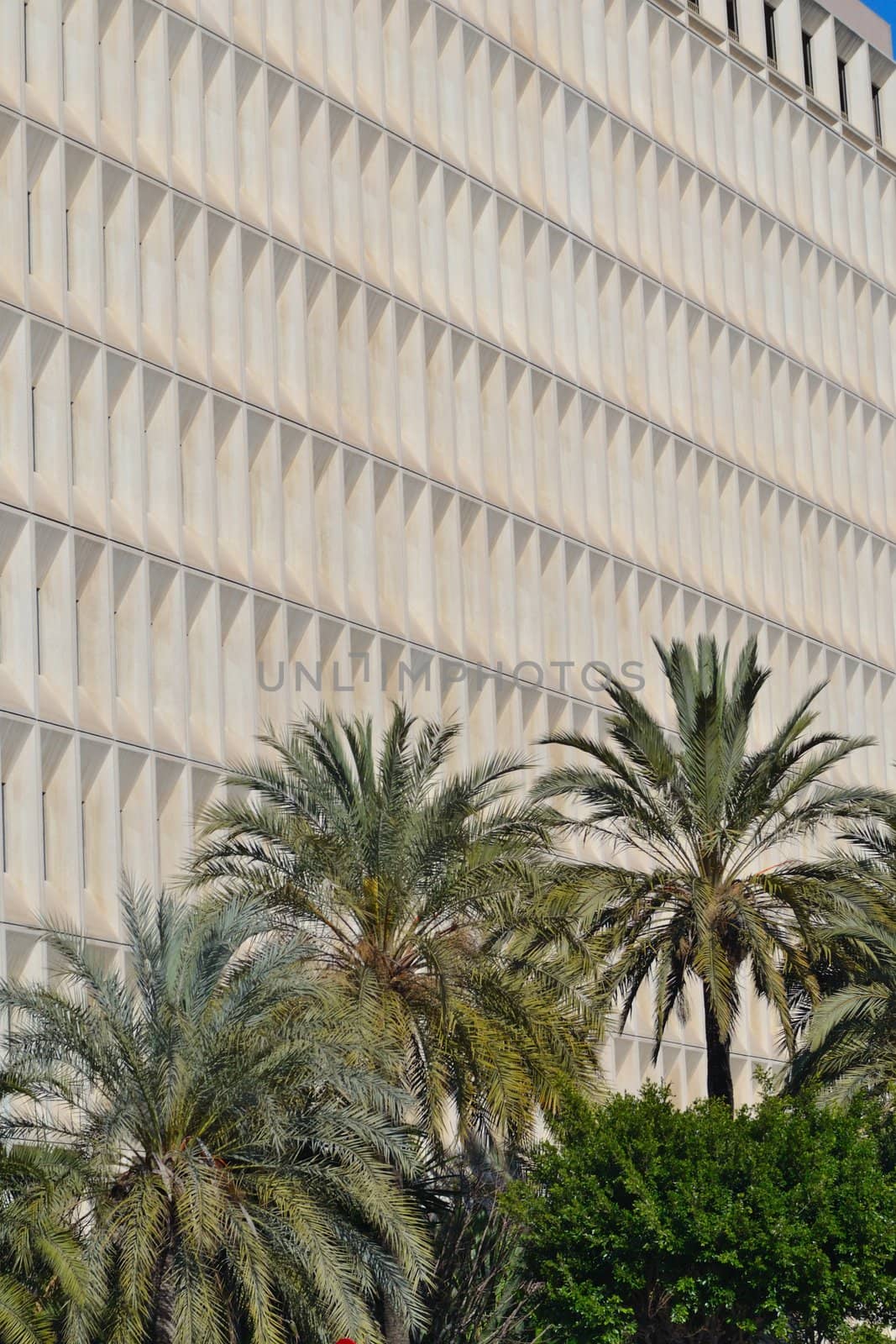 rows of windows in the new building, Malaga,