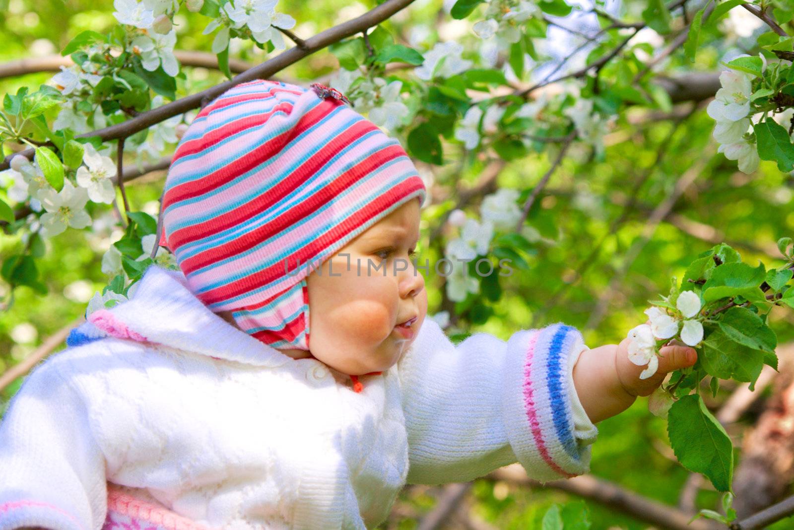 Portrait of small baby in spring apple garden