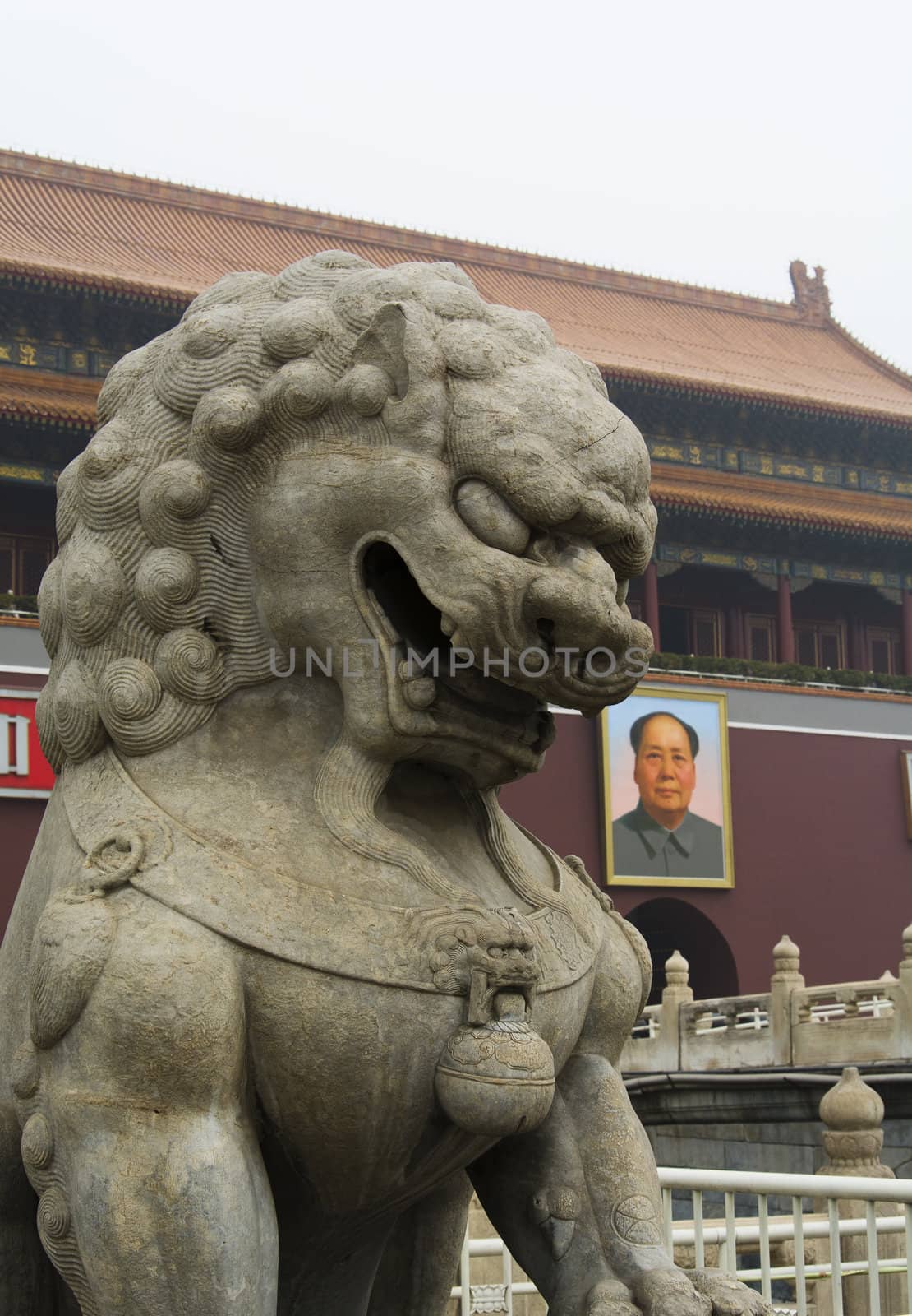 lion of Tiananmen Square 