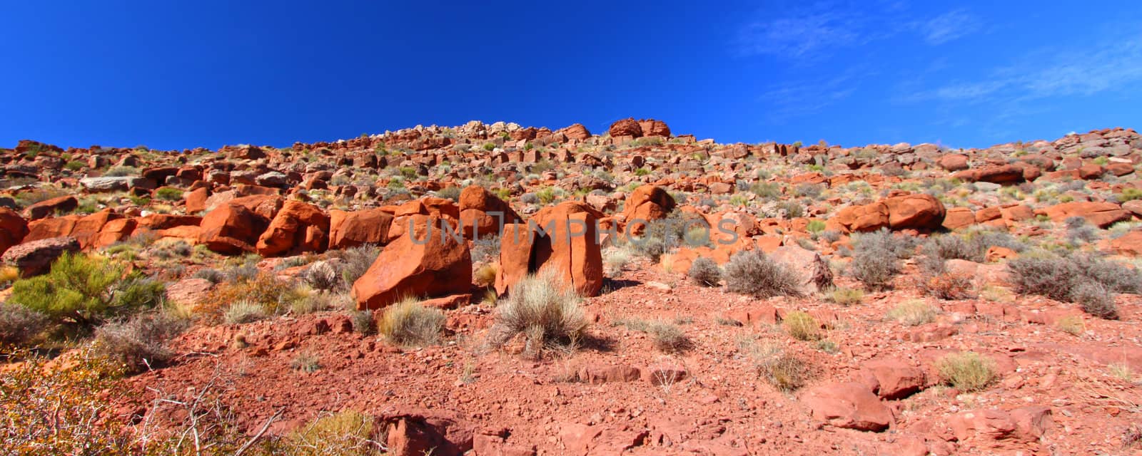 Panoramic view of boulders strewn across the landscape at Grand Canyon National Park in Arizona.