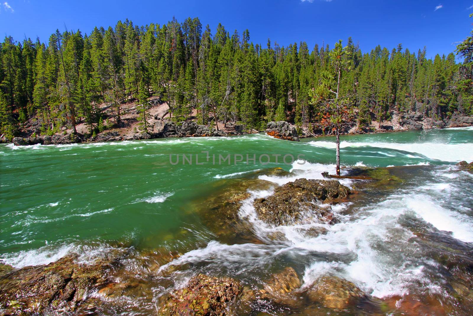 Swift current and rapids of the Yellowstone River fueled by snowmelt of the previous winter.