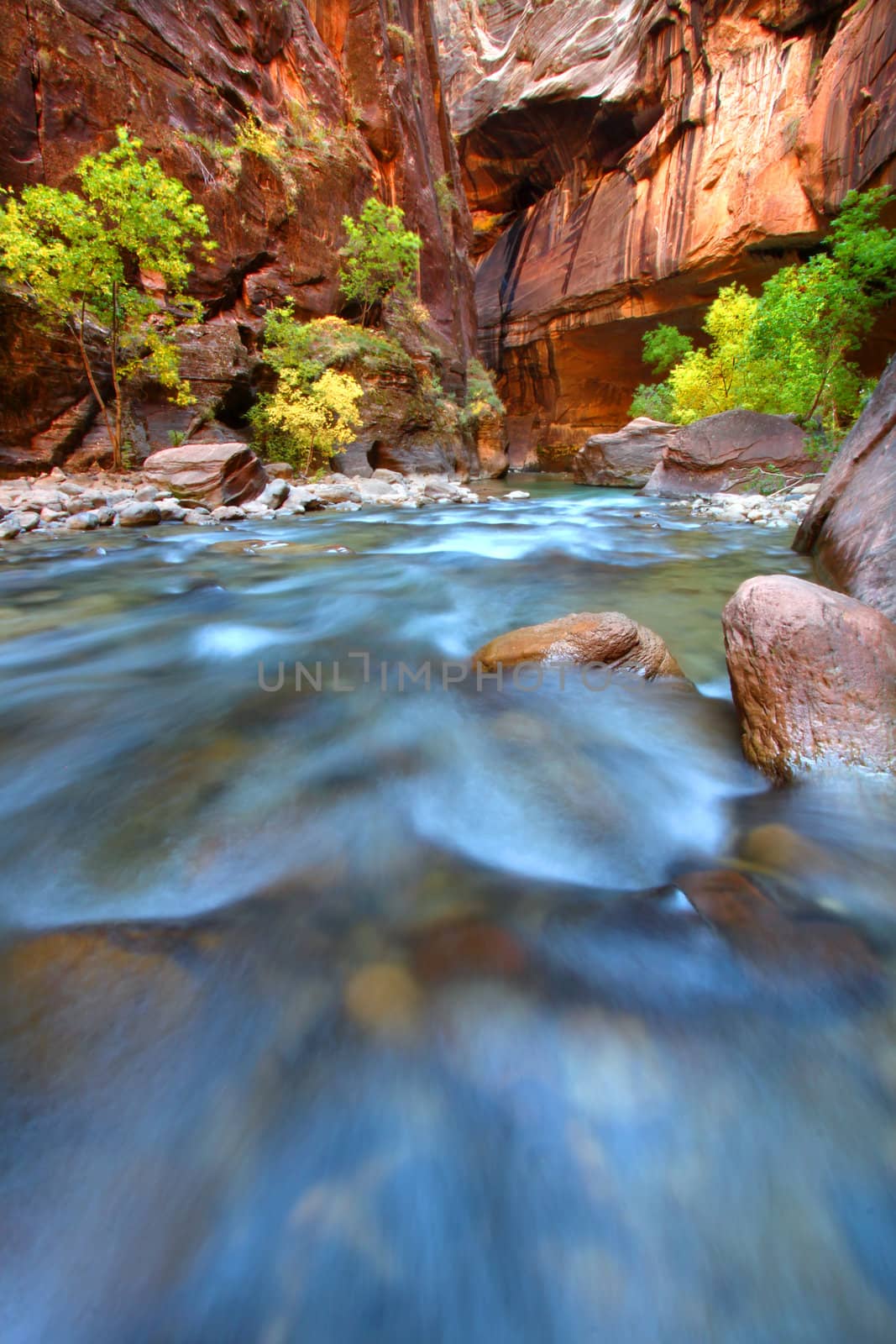 Shallow rapids of the Virgin River Narrows in Zion National Park - Utah.