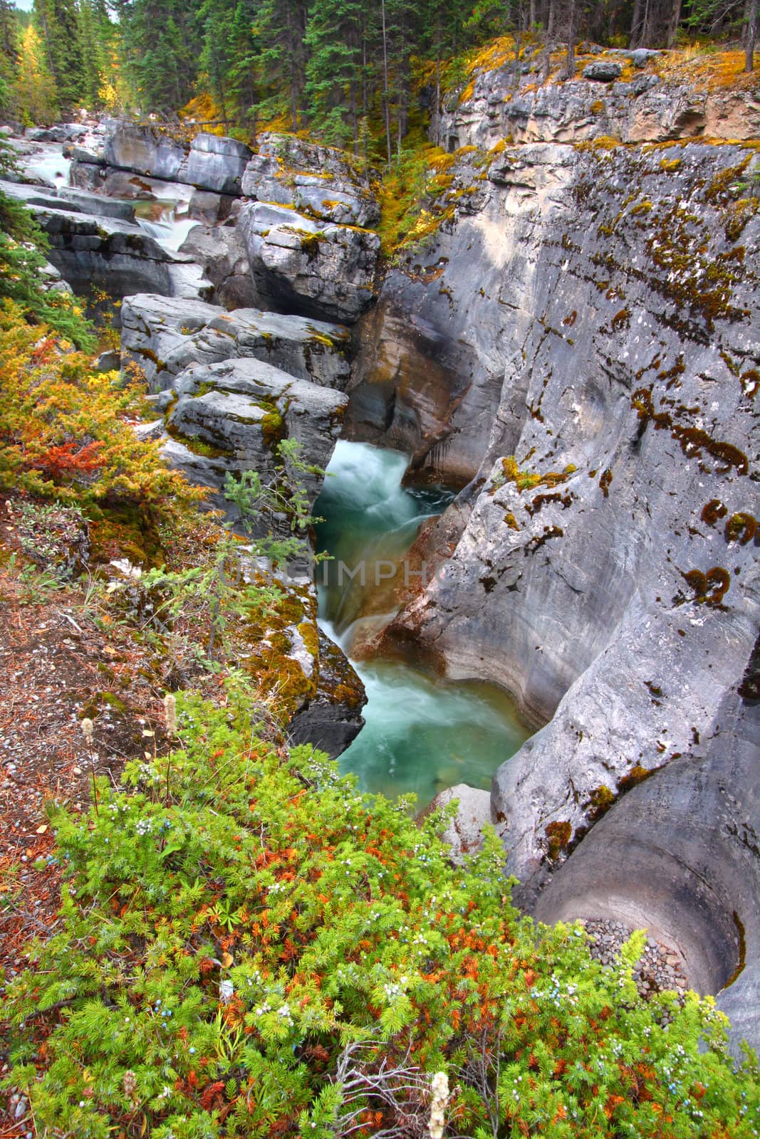 Water crushes through Maligne Canyon of Jasper National Park in Canada.