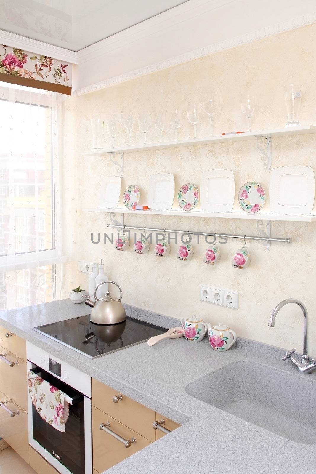 interior of modern kitchen, view of a window, plate and sink, vertical shot