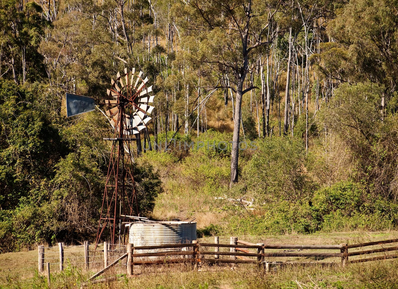 Australian countryside with gumtrees and windmill landscape