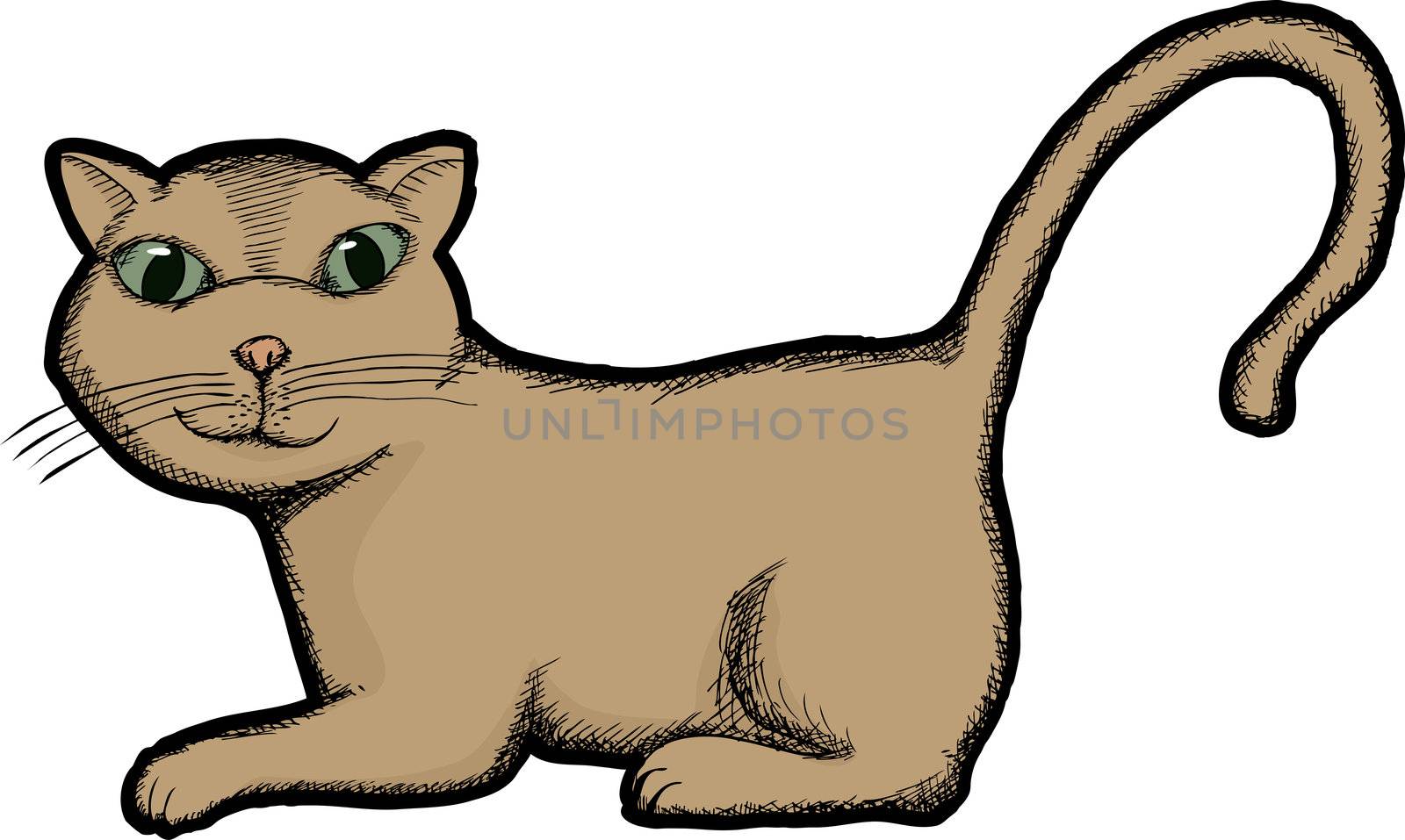 Cartoon of brown domestic cat over white background