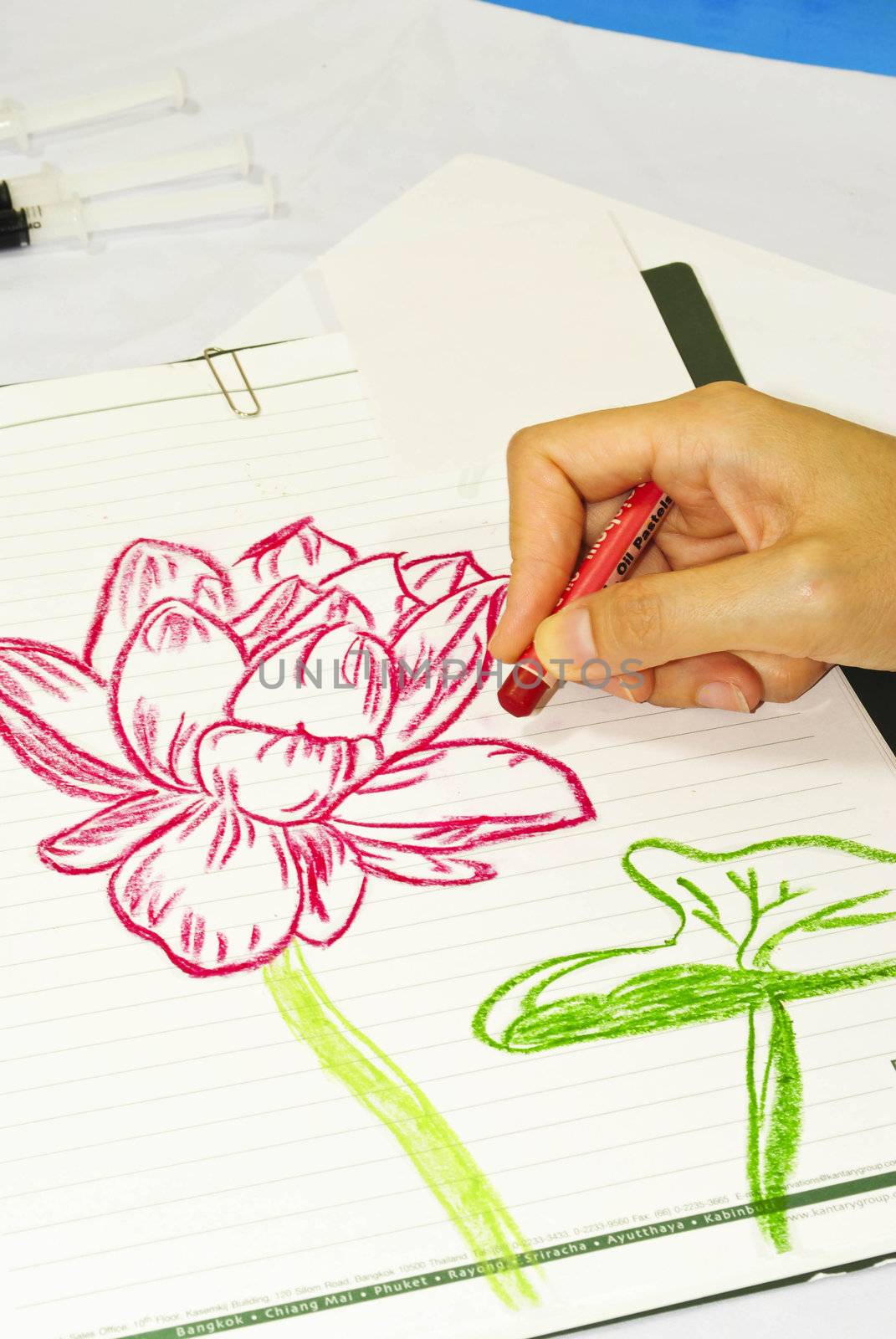 Drawing flowers lotus