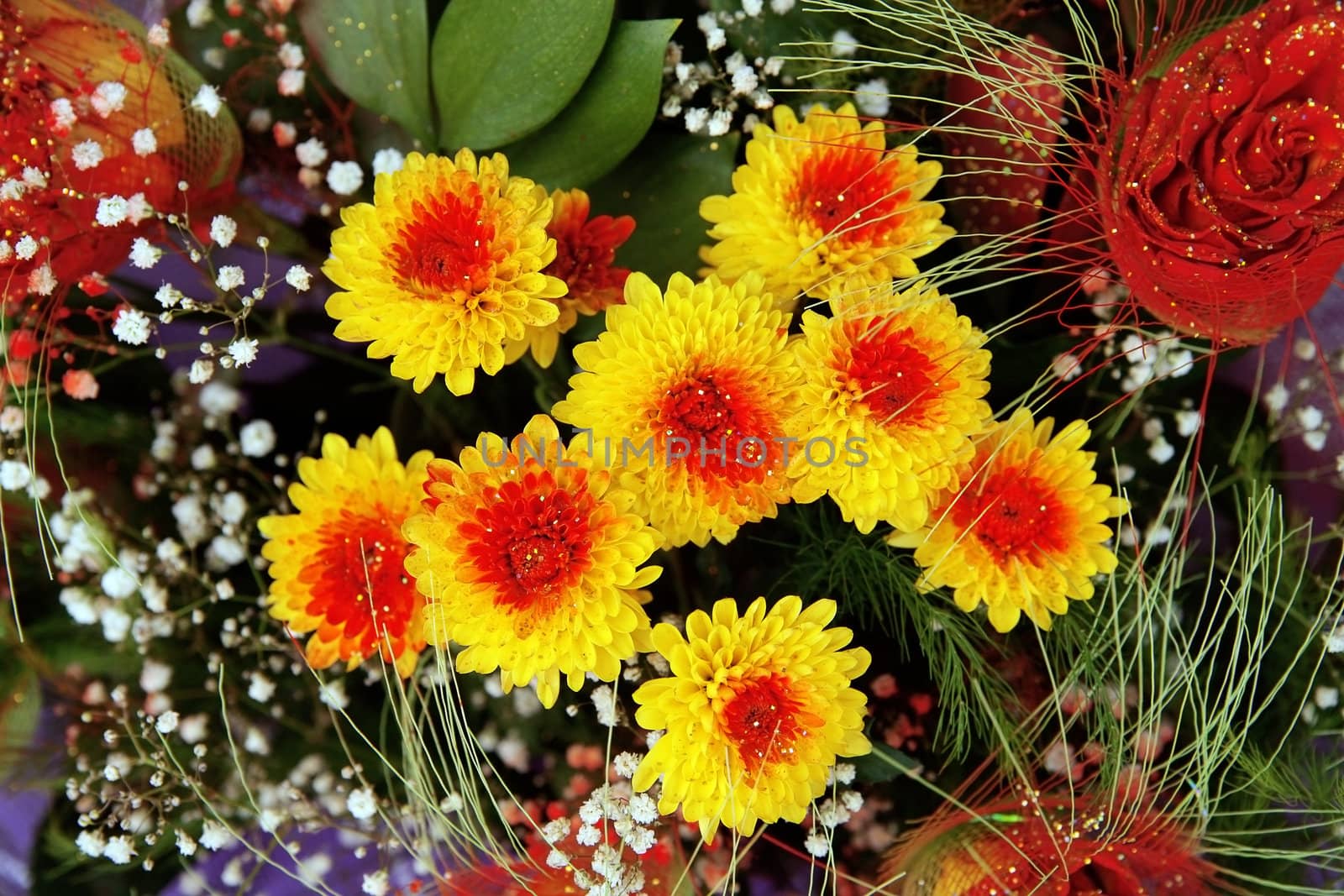 red fresh flowers with a green foliage on a white background