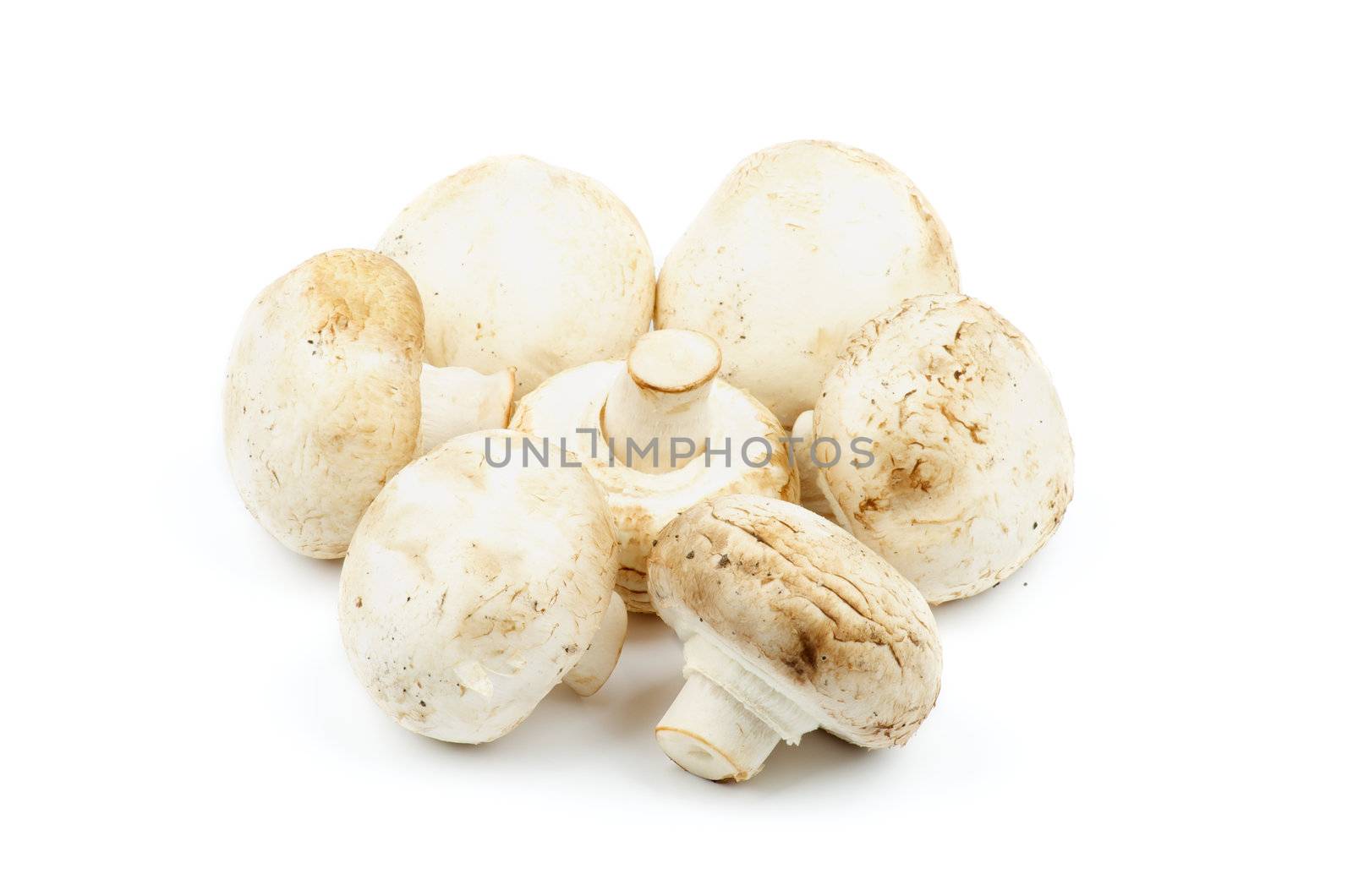 Heap of Perfect Big Raw Field Mushrooms isolated on white background
