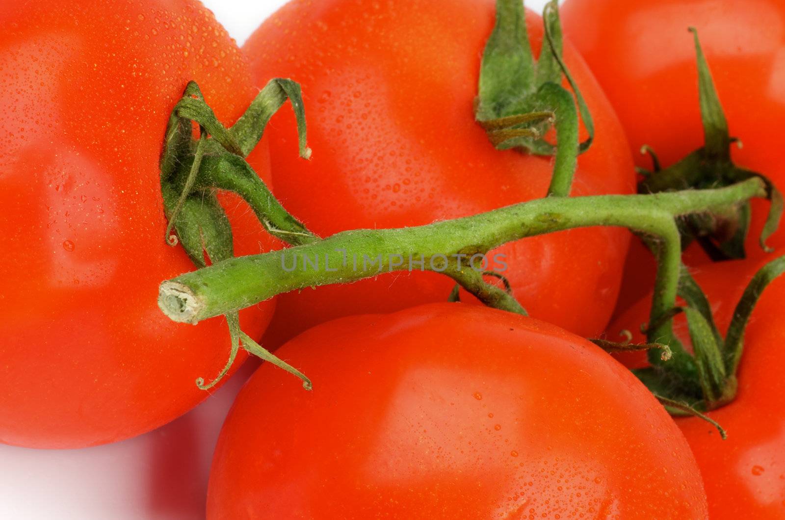Perfect Ripe Tomatoes with Stems closeup