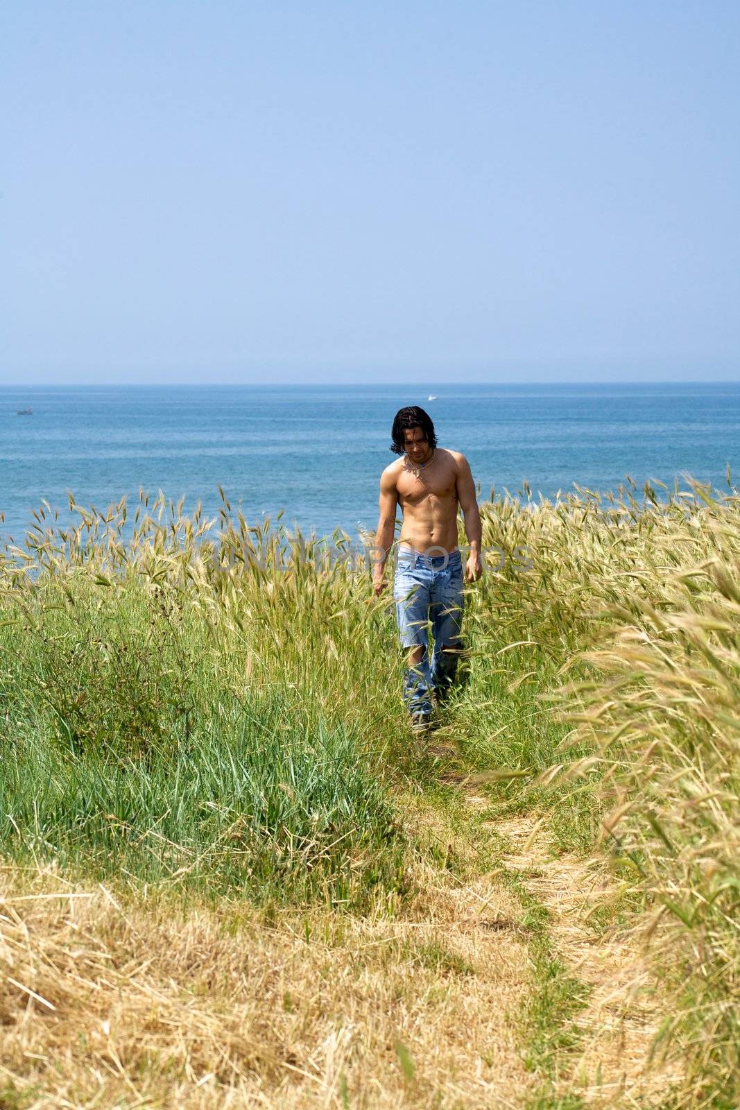 Muscular male model on the beach walking in a corn field  by fmarsicano