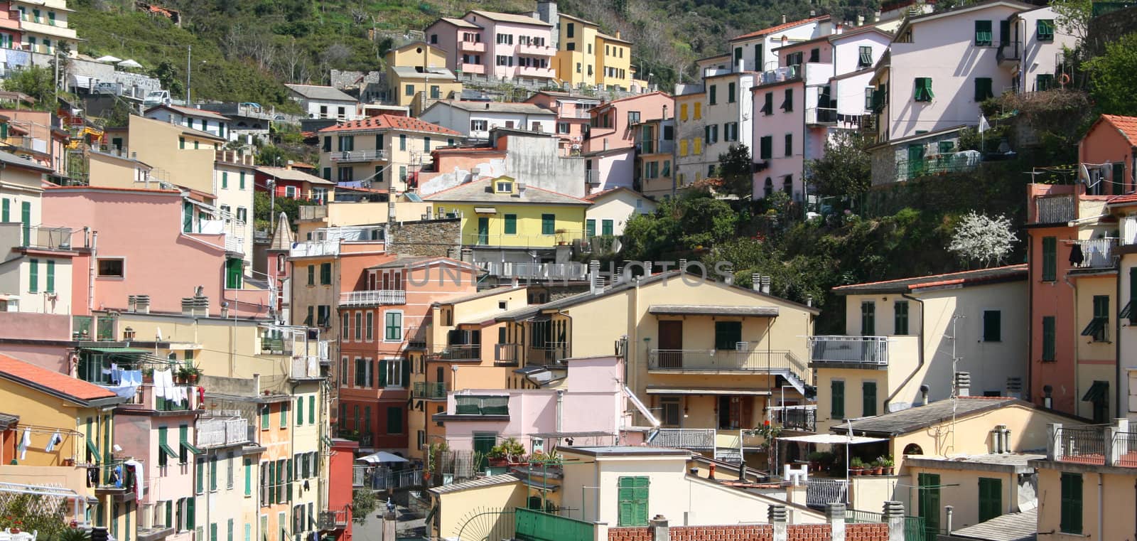 Italy. Cinque Terre. Colorful houses of Riomaggiore village