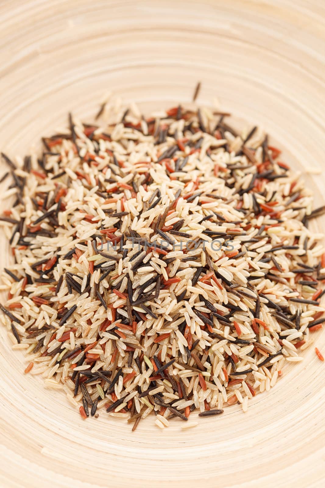 variety of rice