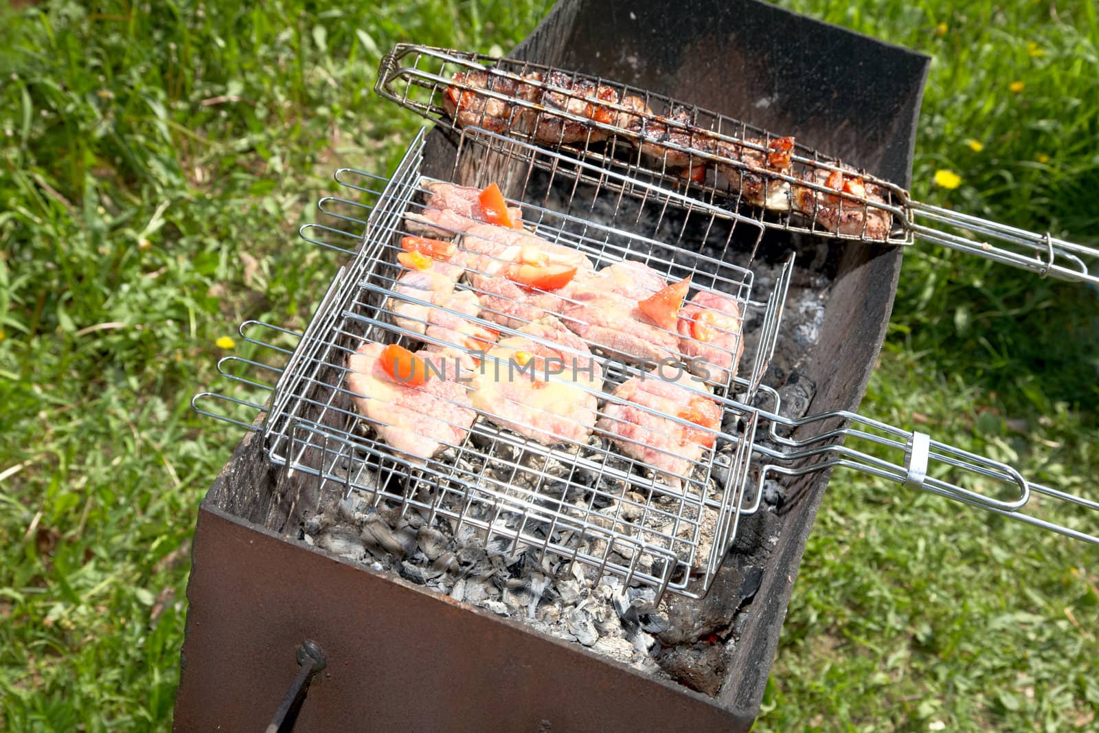 Meat on a grill in the solar spring afternoon