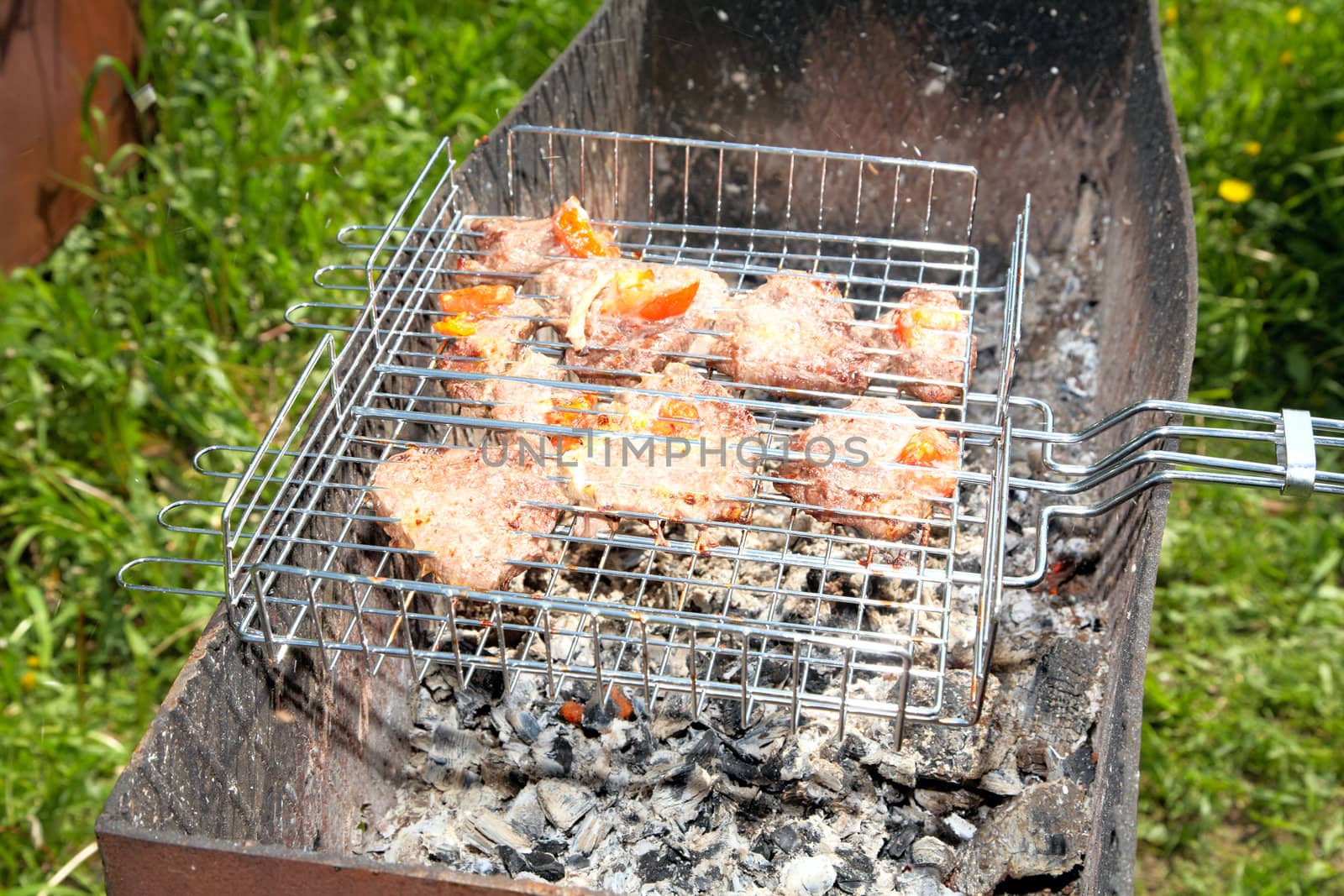 Meat on a grill in the solar spring afternoon