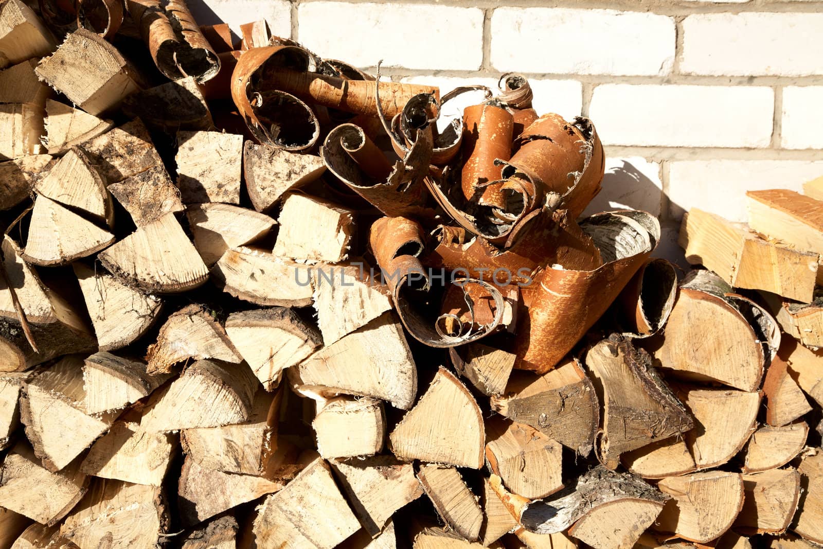 Stack of freshly cut fire wood shined with the sun