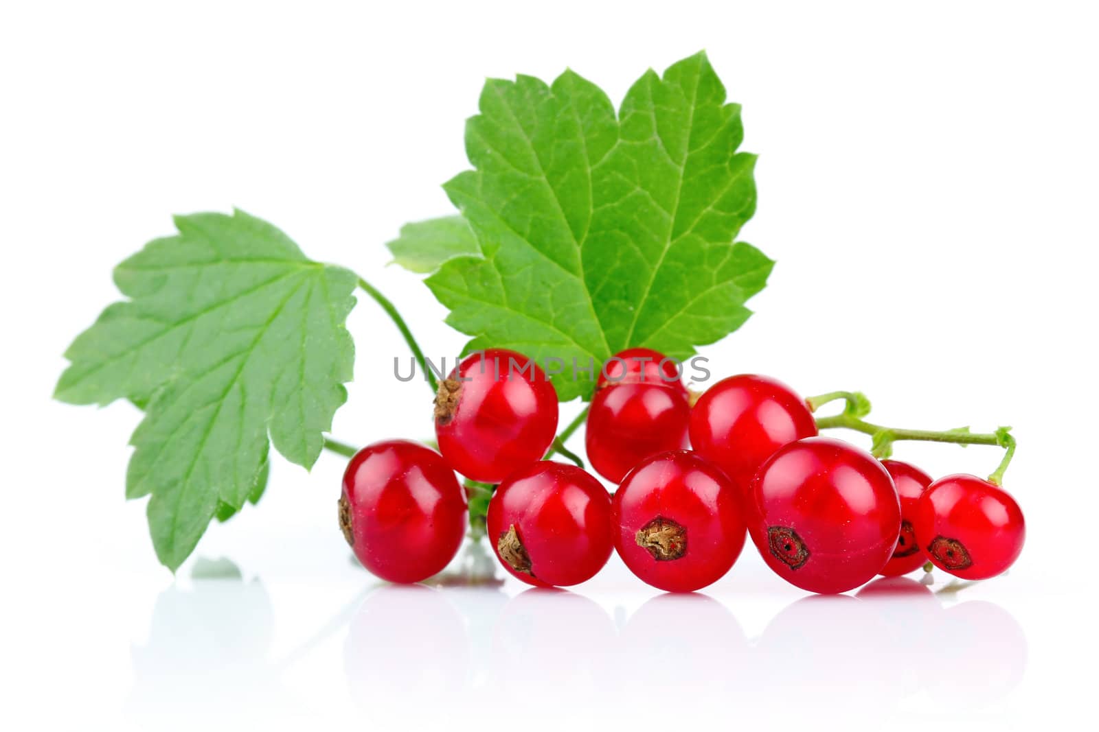Bunch of red currants with green leaves isolated on white