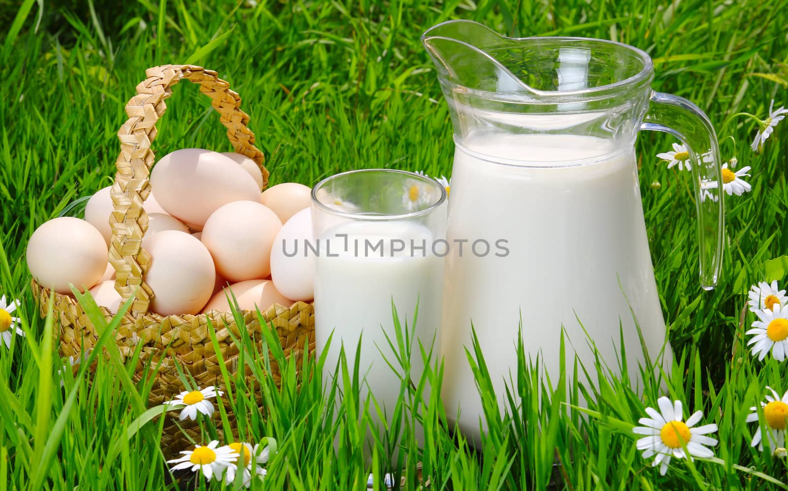 Jug and glass of milk with eggs, grass and daisies by alphacell