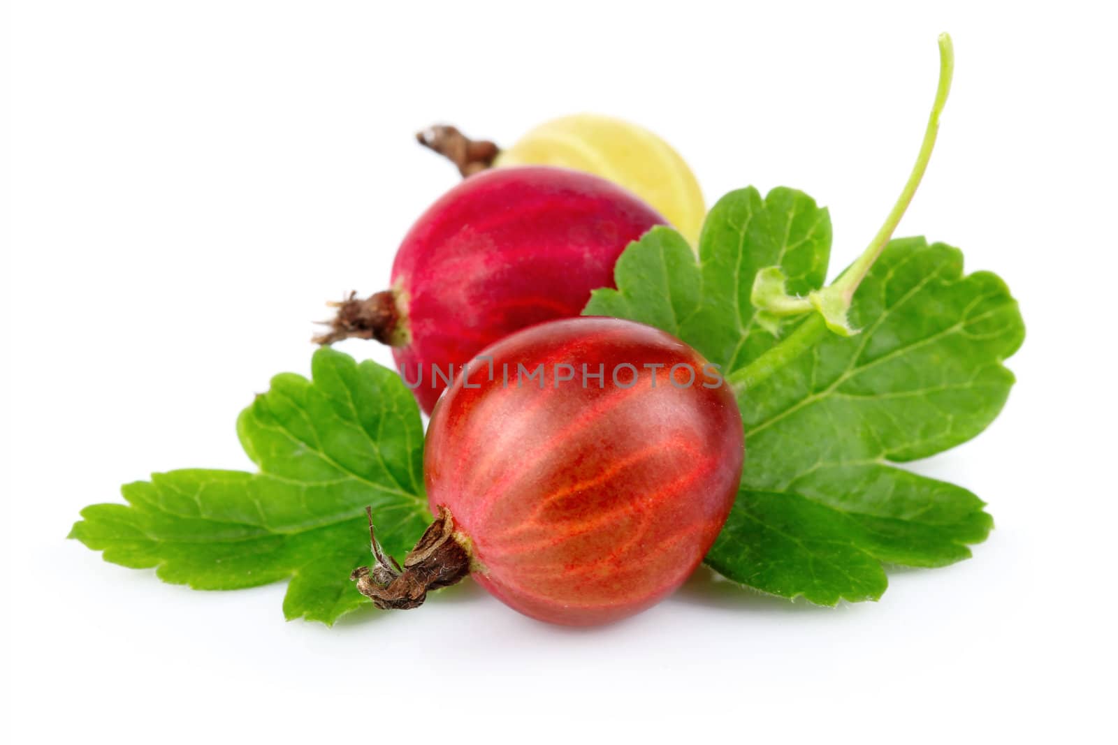 Two red gooseberries with green leaves isolated on white 