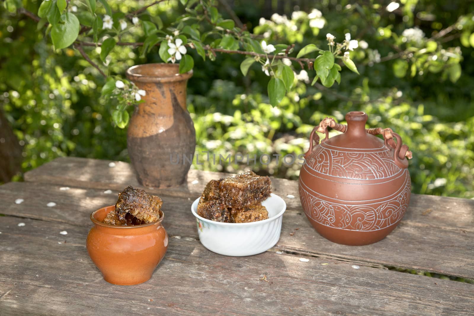 Honey in  pot against a blossoming pear