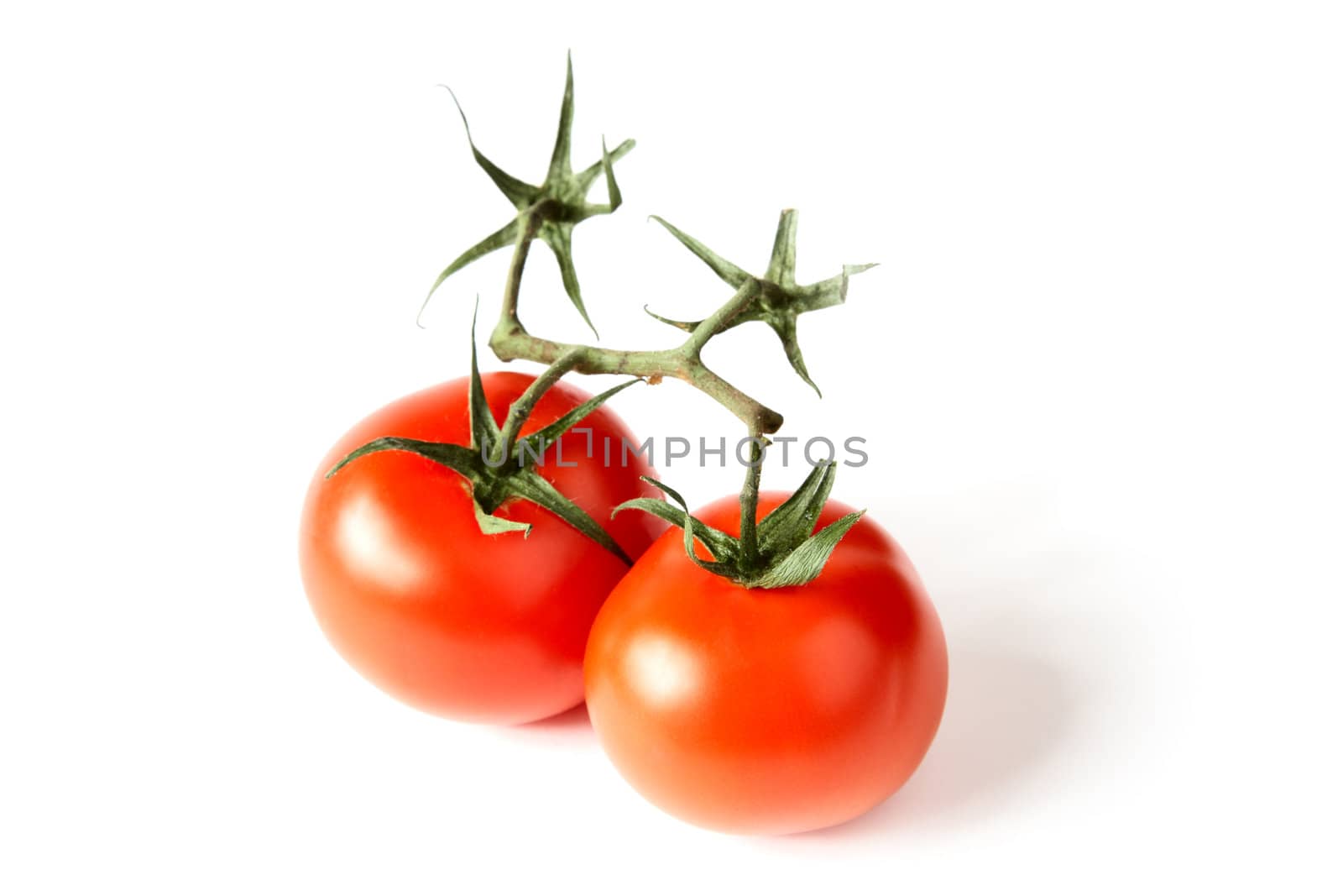 Red tomatoes with green leaves on a white background