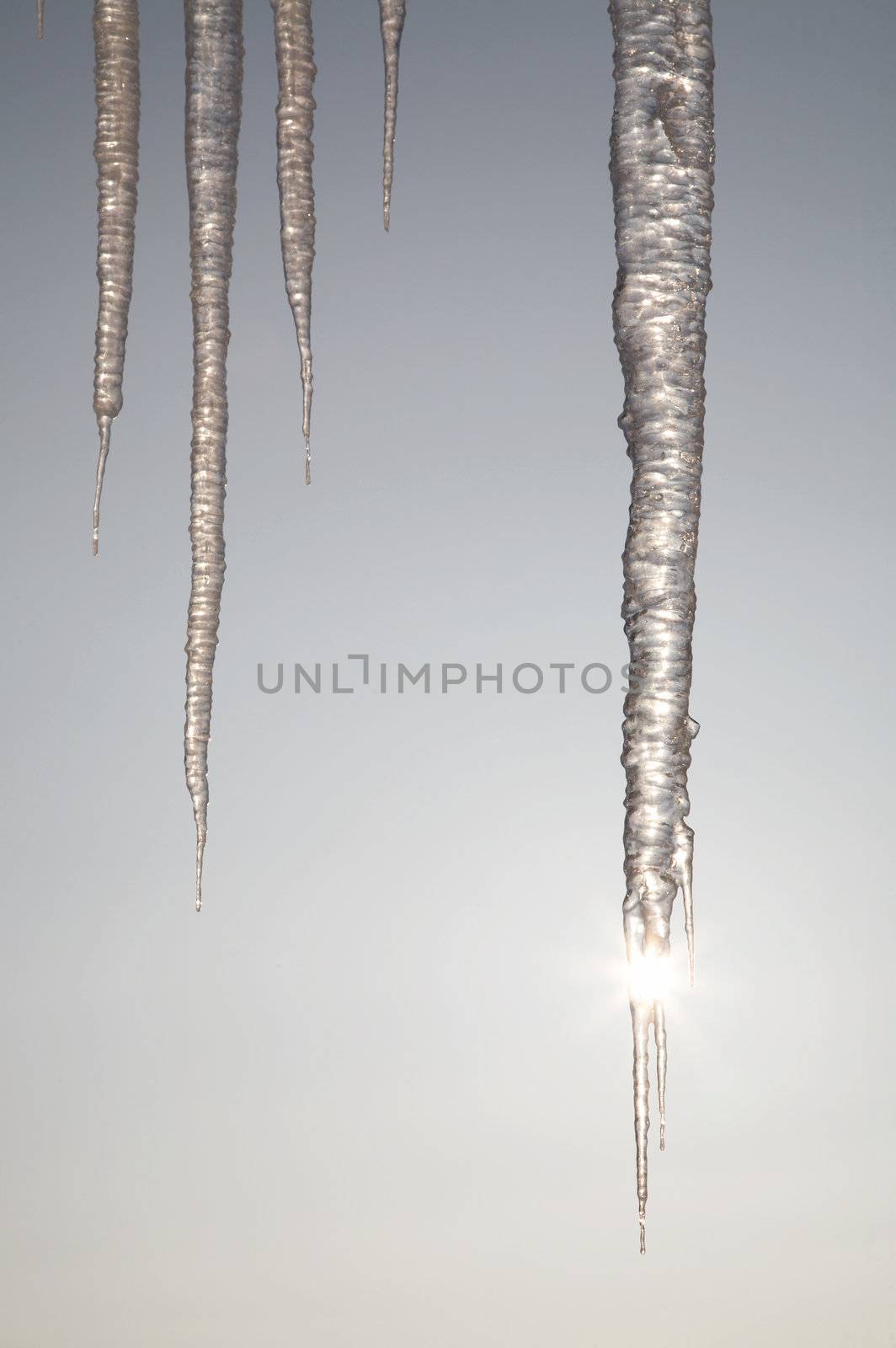 The sun shining through icicles in winter day