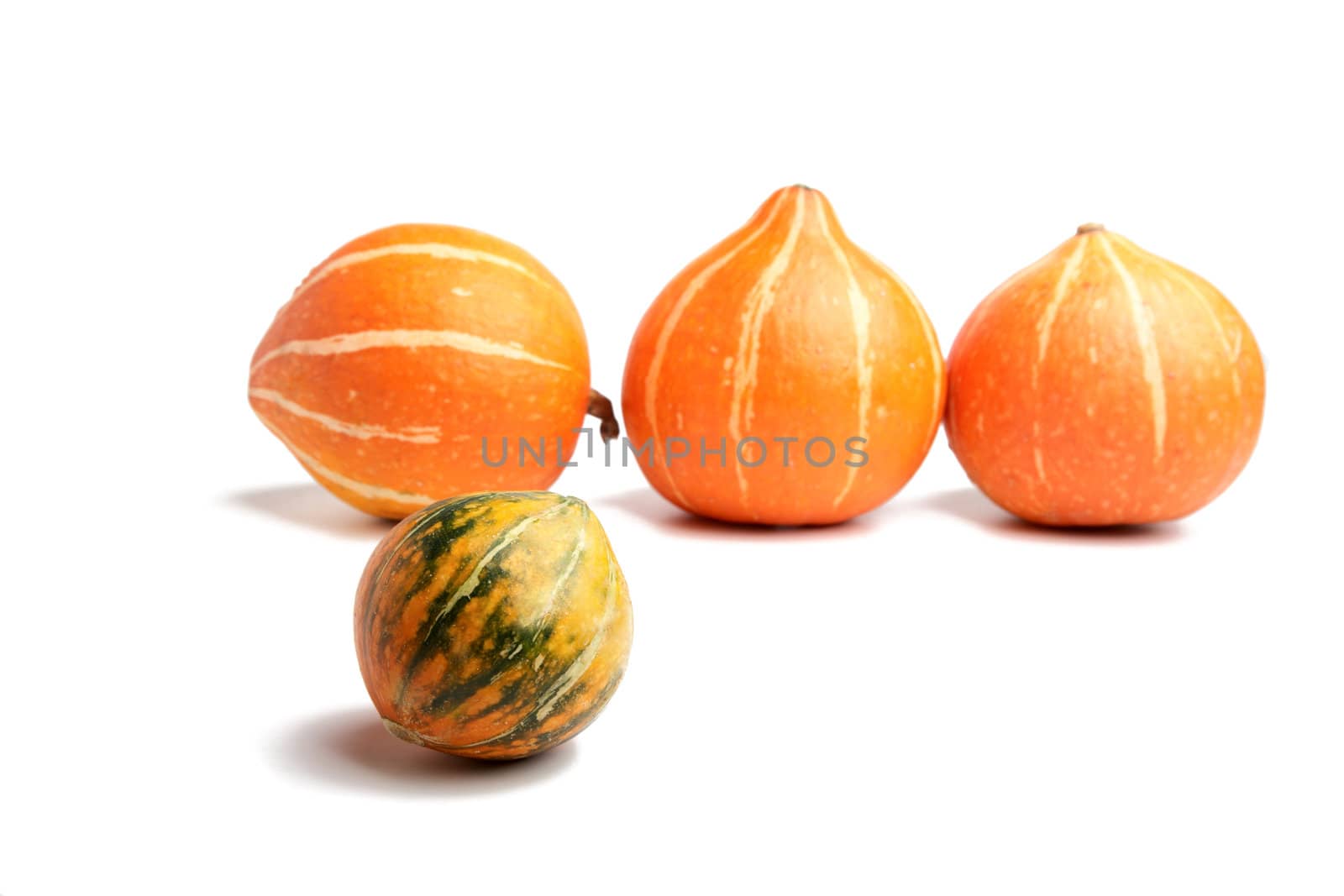 row of pumpkins on a white background