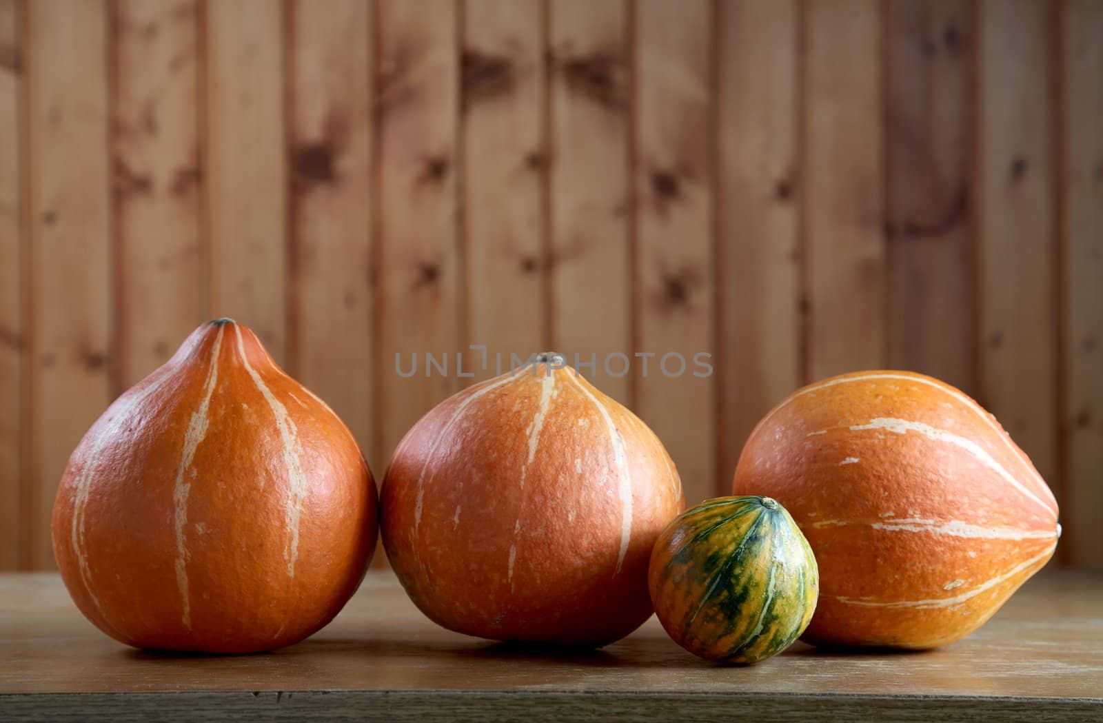 Small pumpkins on an old kitchen table